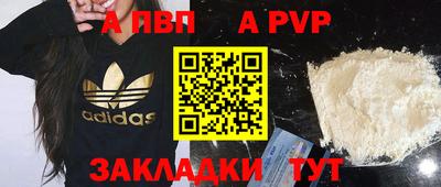 спиды Камышлов