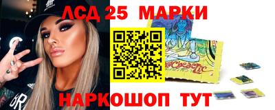 спиды Камышлов