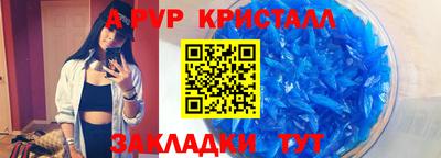 спиды Камышлов