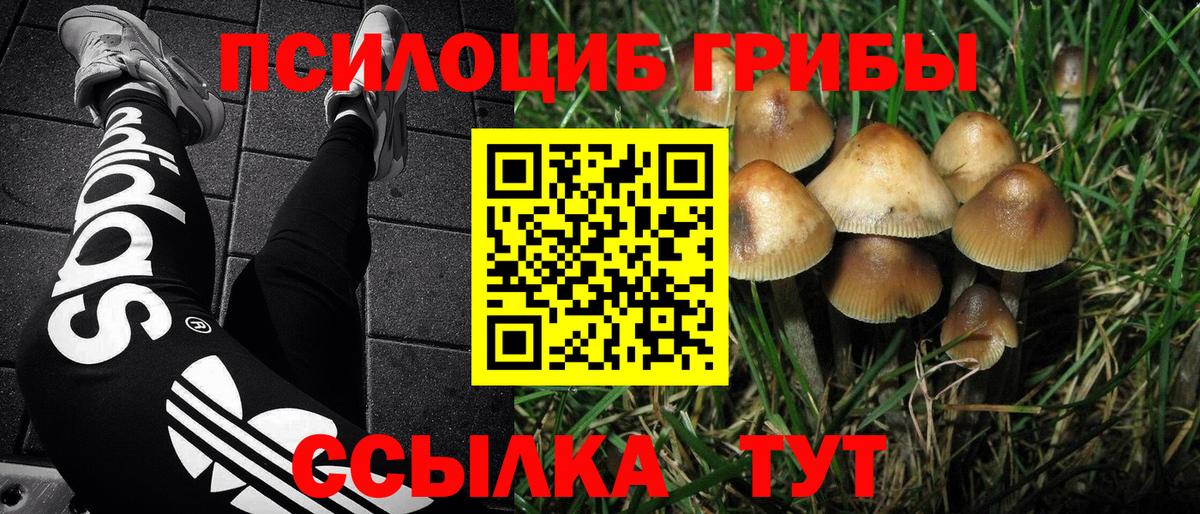 Крымск  Псилоцибиновые грибы прущие грибы  Вход с VPN 